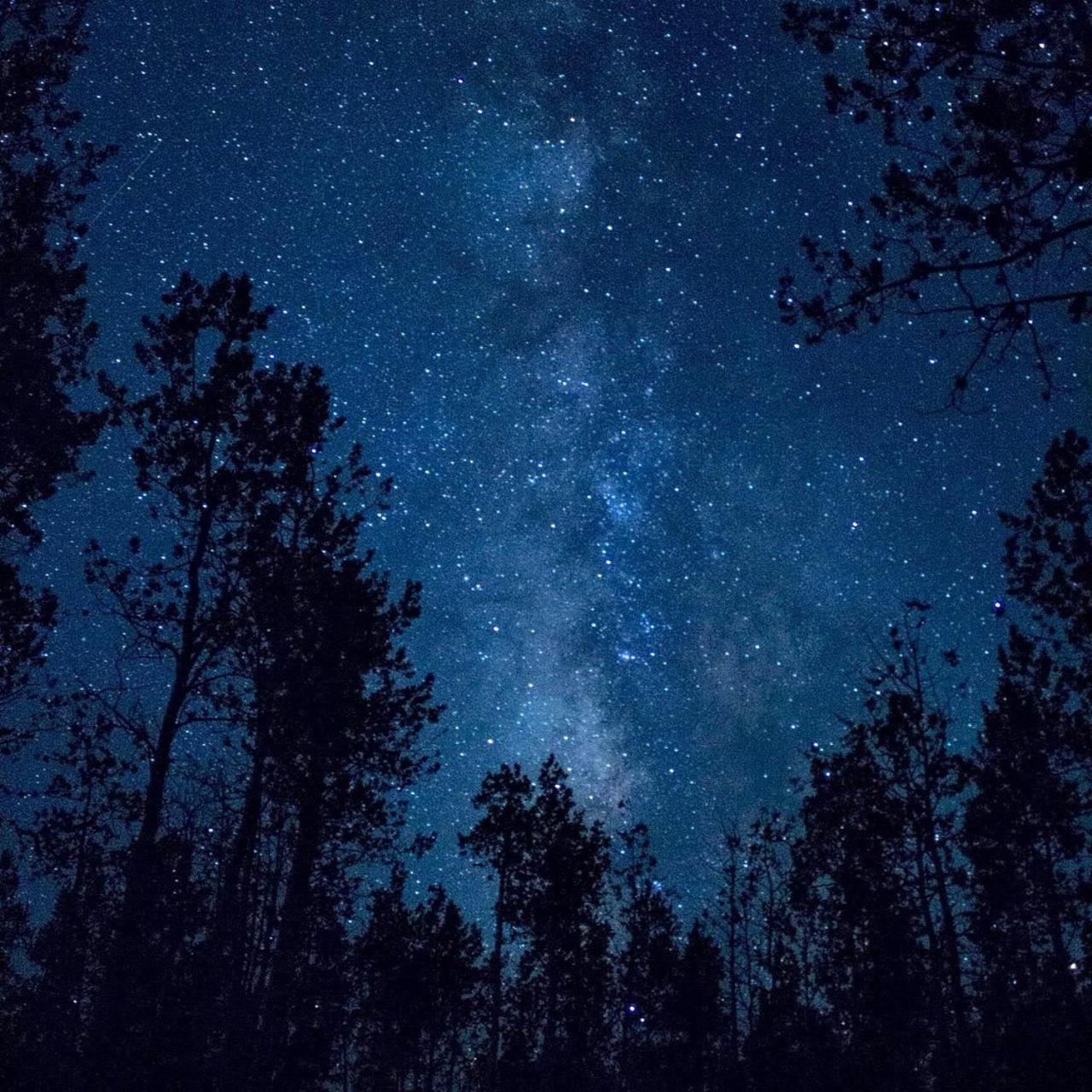 The Milky Way @ Pine Resort Fraser Hill Esterno foto
